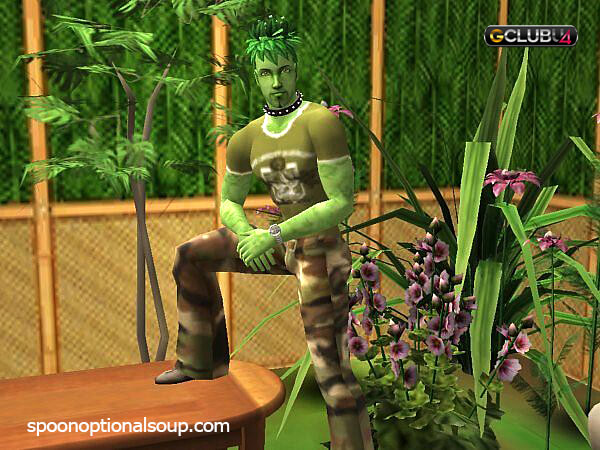 Plantsim ในอุดมคติคือตัวละครดีบักที่ใช้ในThe Sims 