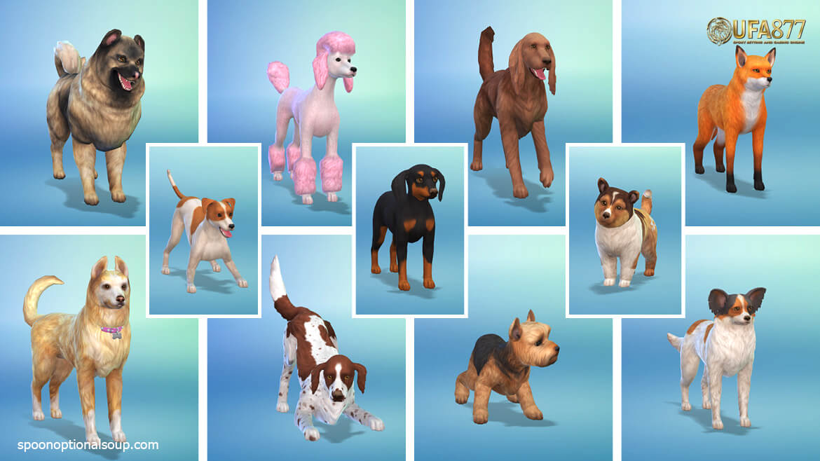 สุนัขกลับมาเป็น 1 ใน 2 สัตว์เลี้ยงหลักในThe Sims 4: Cats & Dogs 